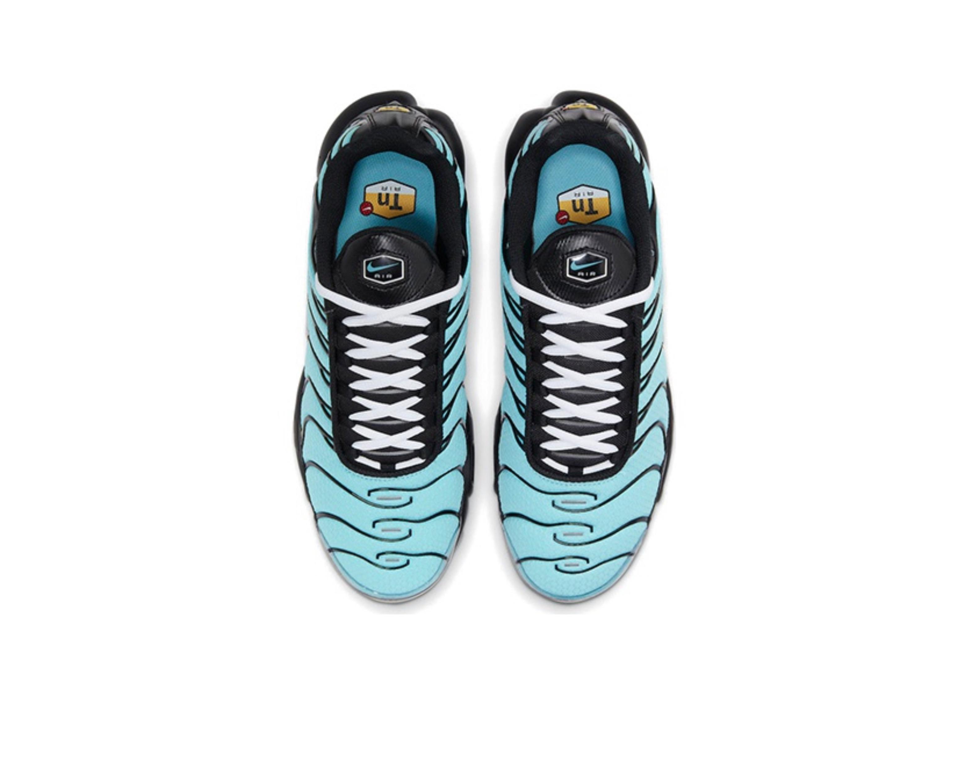 CARRYME/Nike Air Max Plus Aqua Black White Metallic Silver