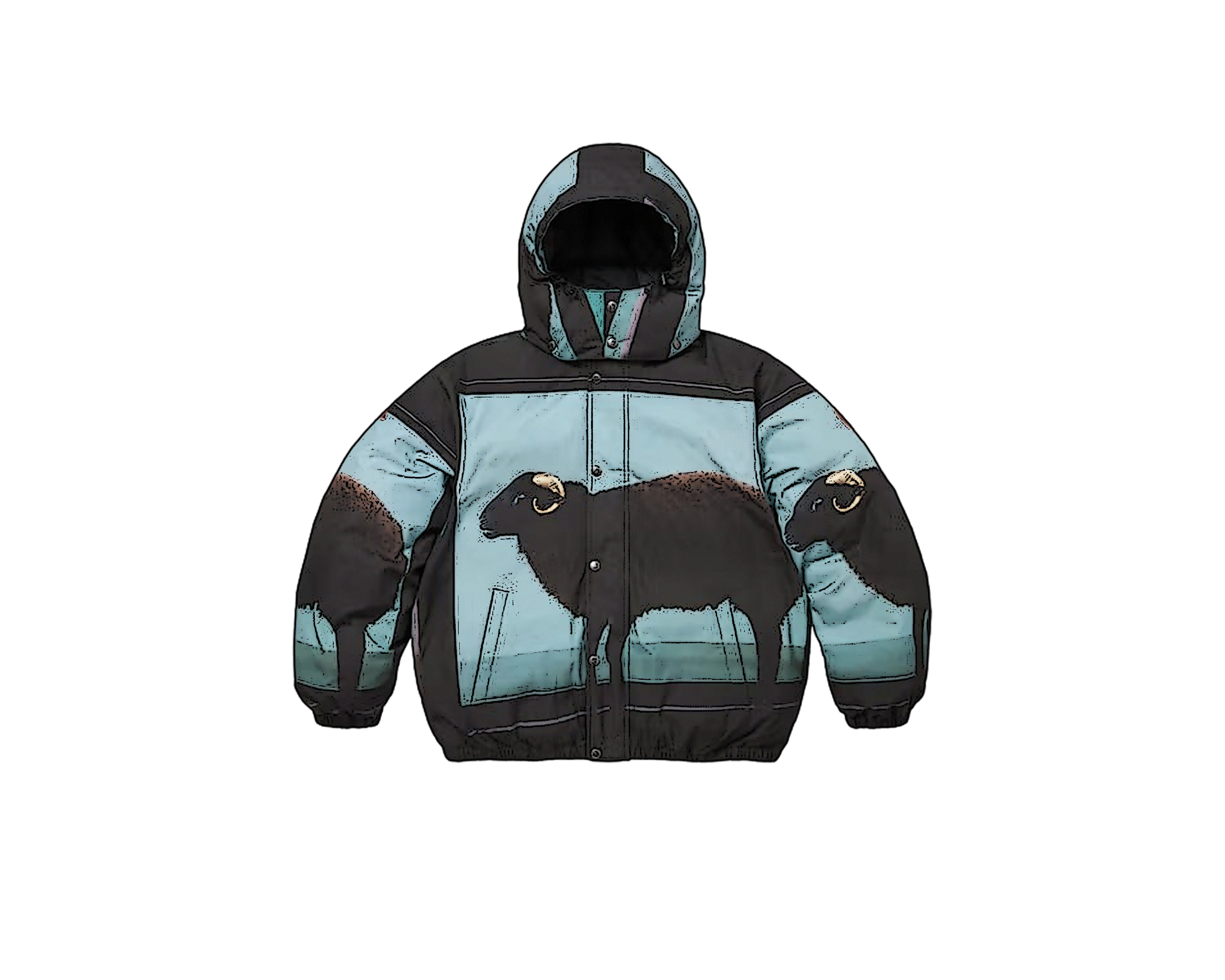 CARRYME/Supreme × Damien Hirst Down Puffer Jacket Black