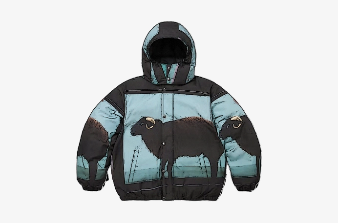 CARRYME/Supreme × Damien Hirst Down Puffer Jacket Black