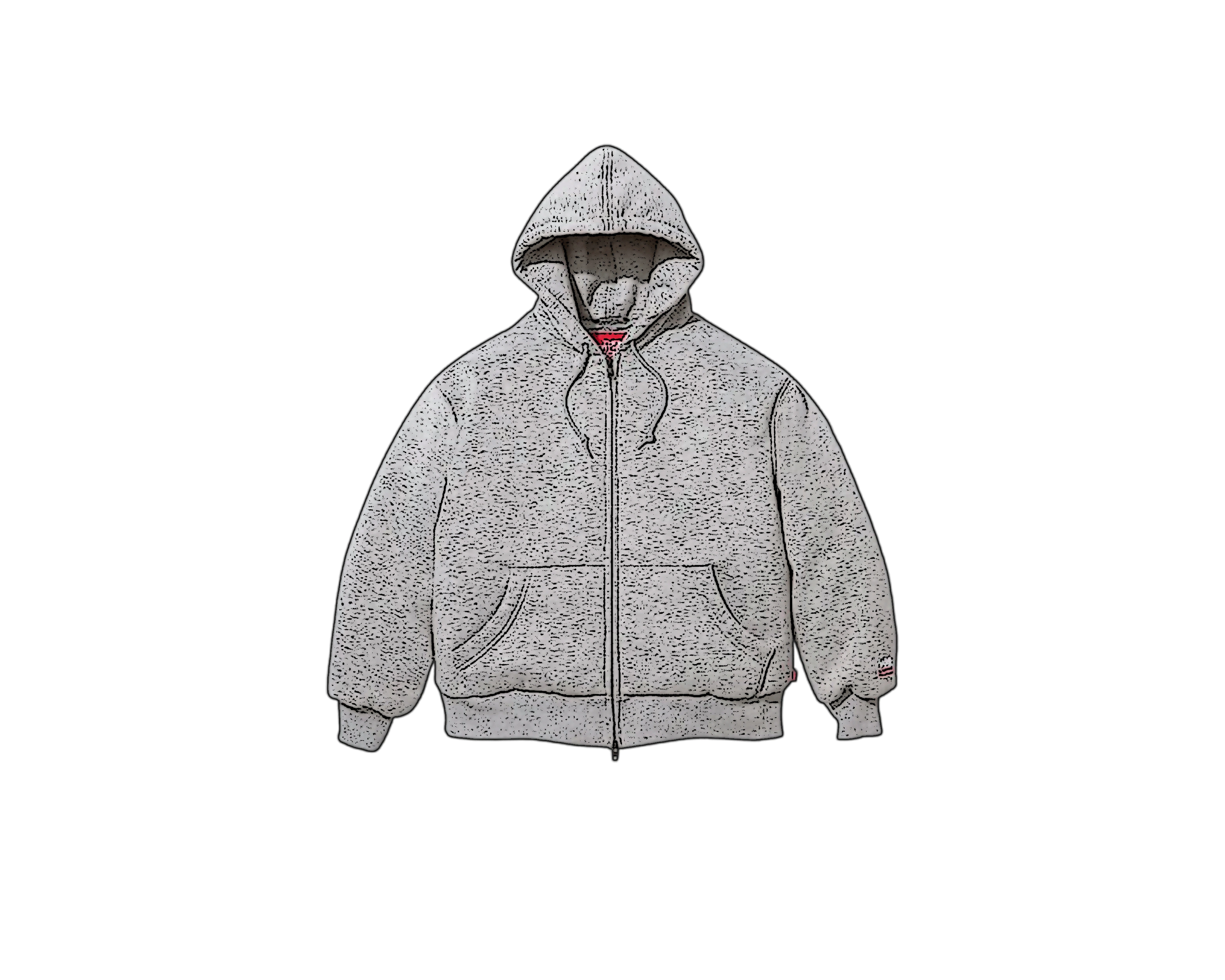 CARRYME/Supreme × The North Face Down Filled Zip Up Hooded