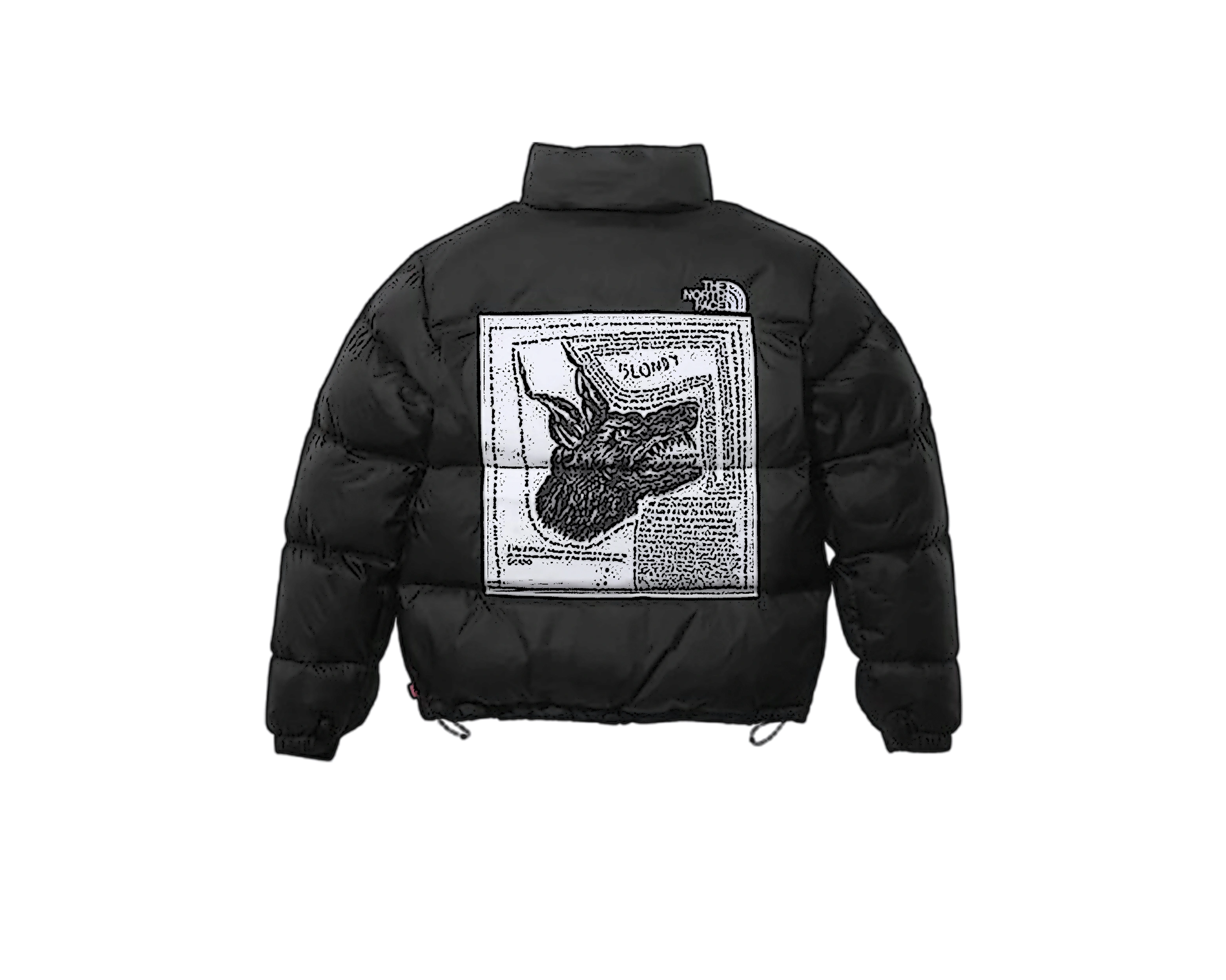 CARRYME/Supreme × The North Face Nuptse Jacket Original Artwork by